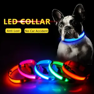 3pcs USB Charging LED Dog Collar Anti-Lost/Avoid Car Accident Collar
