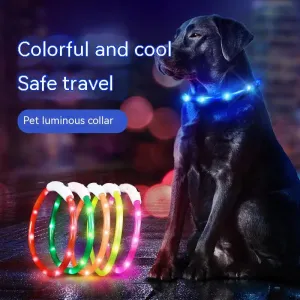 Dog LED Collar Glow-In-The-Dark Charging Night Safety Flash Anti-Loss Glow Pet Collar