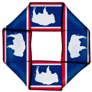 Dog Toy Squeaky Octagon Flyer - Wyoming Flags Bison Silhouette