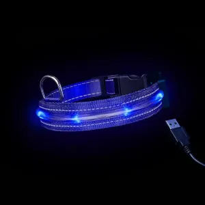Loomo LED Dog Collar Blue