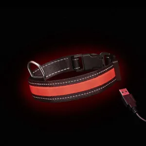 Loomo Moonshine LED Dog Collar Red