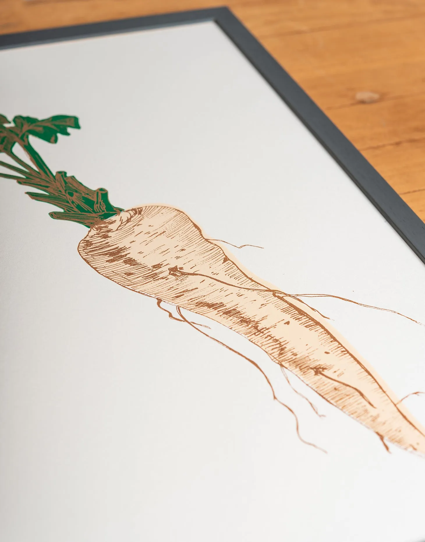 Parsnip Vegetable Print