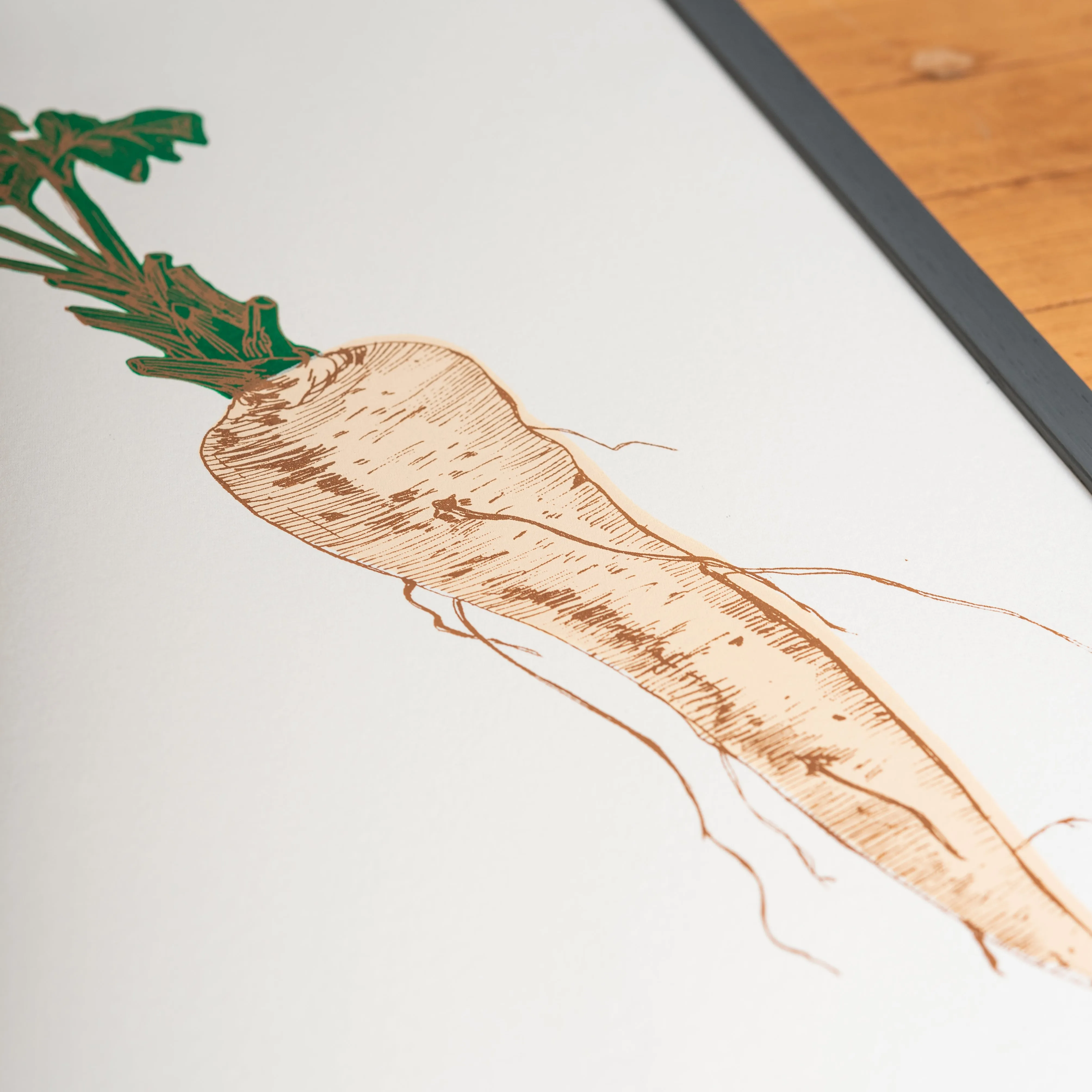Parsnip Vegetable Print