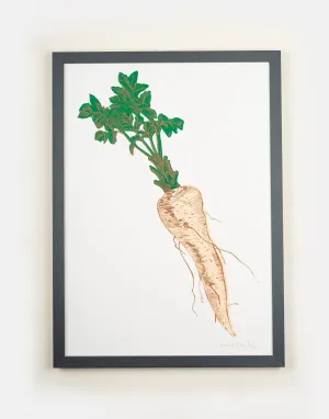 Parsnip Vegetable Print