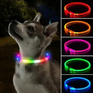 Rechargeable LED Dog Collar - High Visibility & Adjustable