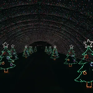 Thursday, December 5th